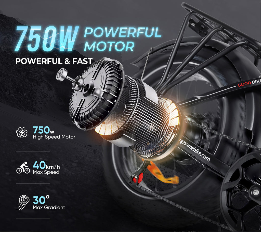 Vélo électrique Samebike LOTDM200-II 750W 